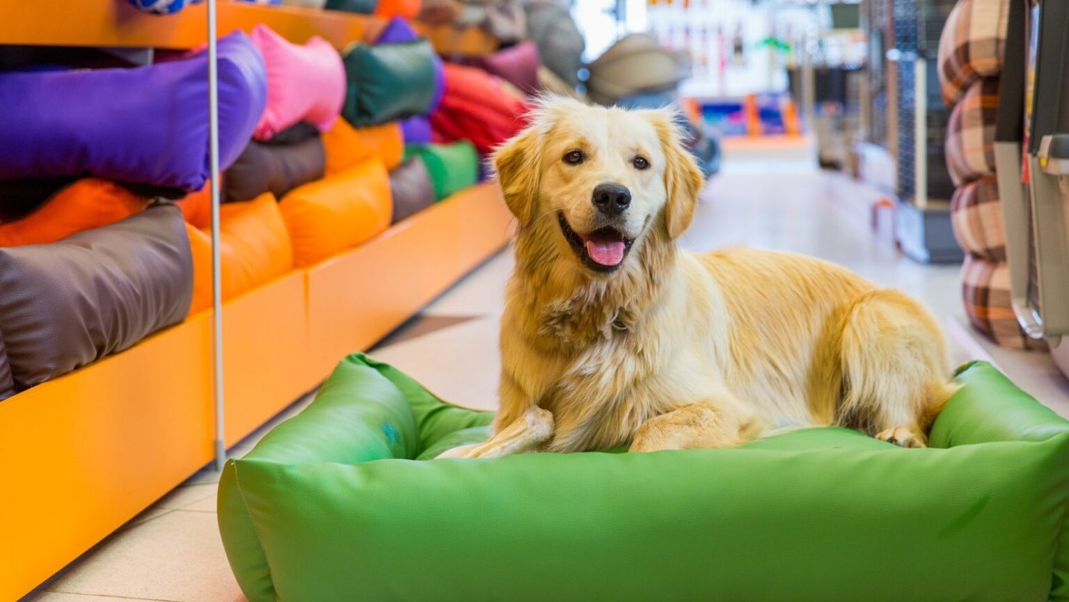 benefits of local pet stores in canada
