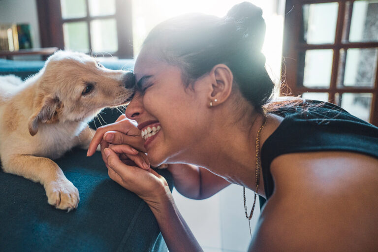 Building a Strong Bond with Your Pet: Communication, Trust, and Quality Time