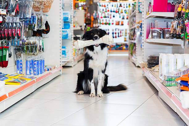 Benefits of Online Pet Stores