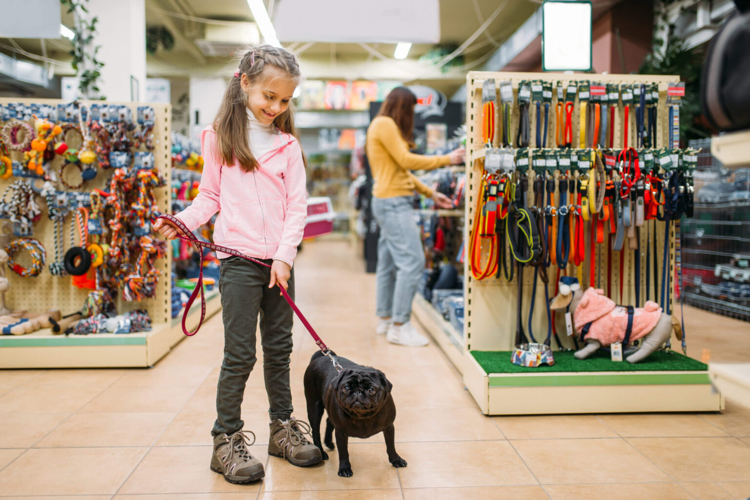 How Pet Stores Are Evolving to Meet the Needs of Modern Pet Owners