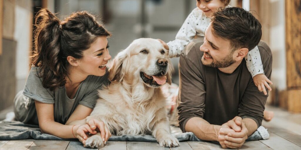 Understanding Your Pet’s Dietary Needs