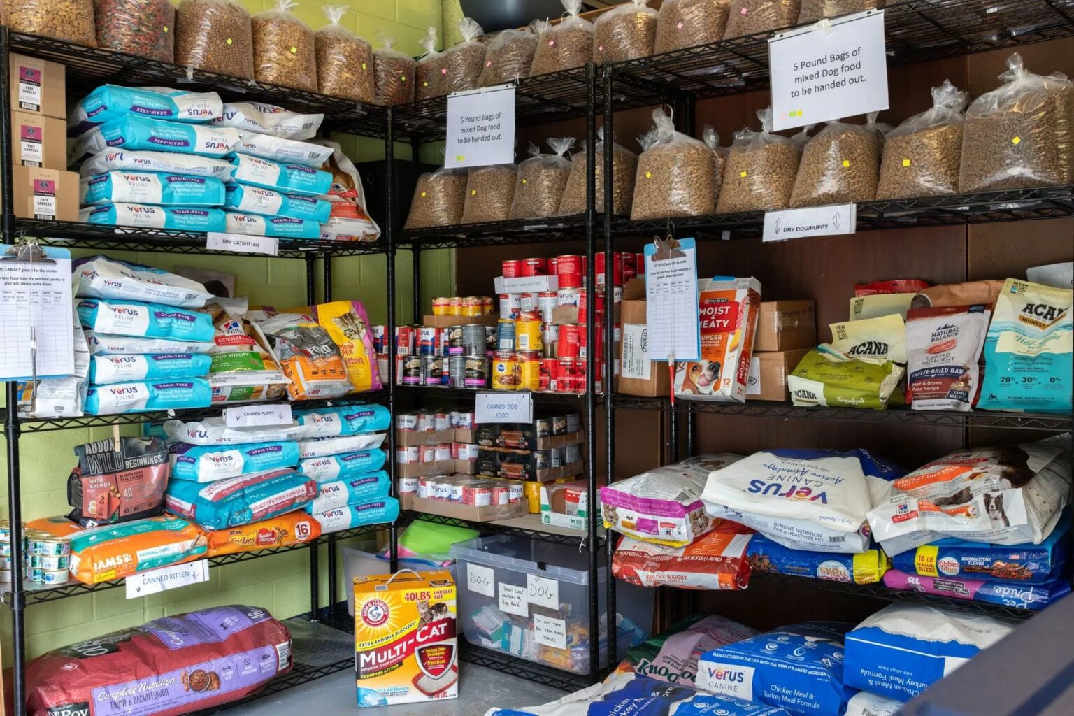 Pet Pantry Makeovers: Designing Healthy, Instagram-Worthy Treat Displays